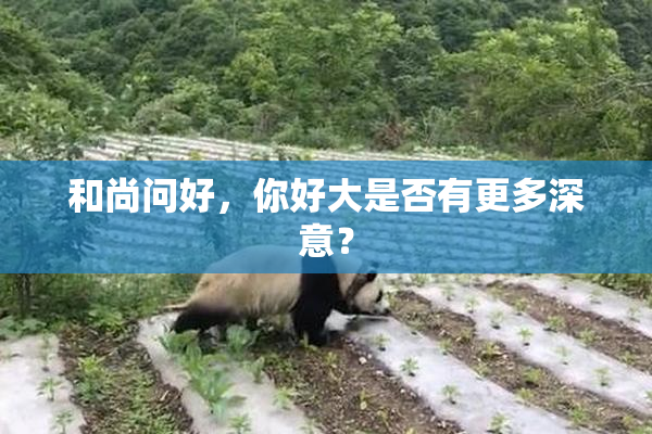 和尚问好，你好大是否有更多深意？