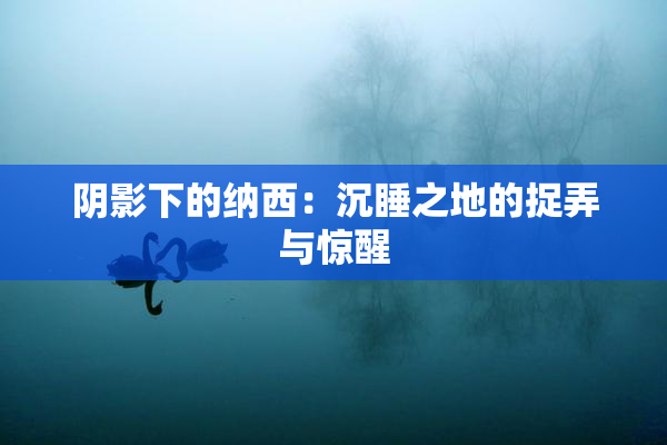 阴影下的纳西：沉睡之地的捉弄与惊醒