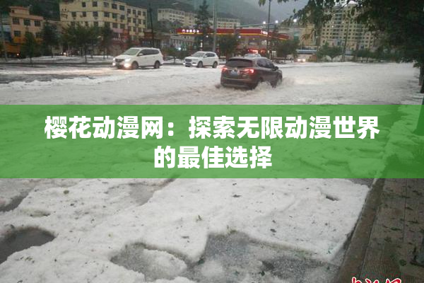 樱花动漫网：探索无限动漫世界的最佳选择
