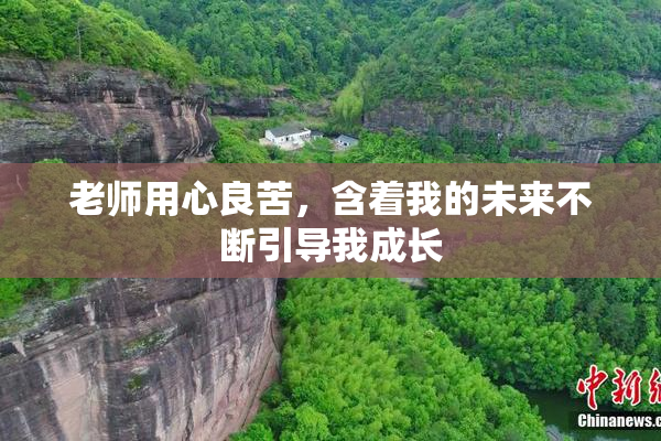 老师用心良苦，含着我的未来不断引导我成长
