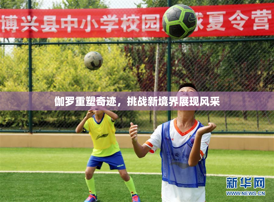伽罗重塑奇迹，挑战新境界展现风采