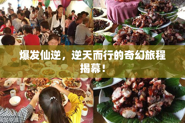 爆发仙逆，逆天而行的奇幻旅程揭幕！
