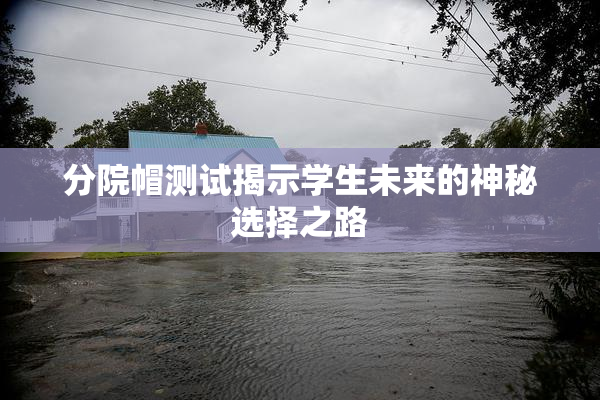 分院帽测试揭示学生未来的神秘选择之路