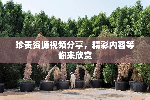 珍贵资源视频分享，精彩内容等你来欣赏