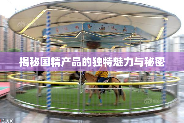 揭秘国精产品的独特魅力与秘密