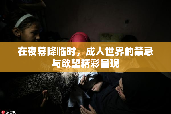 在夜幕降临时，成人世界的禁忌与欲望精彩呈现