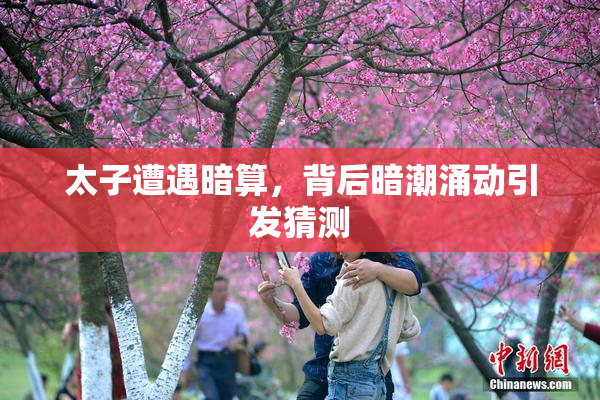 太子遭遇暗算，背后暗潮涌动引发猜测