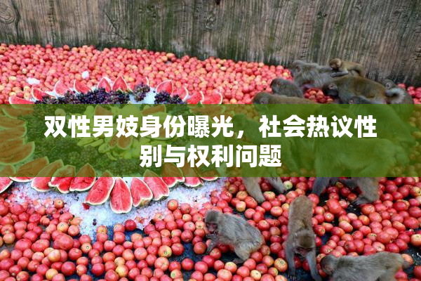 双性男妓身份曝光，社会热议性别与权利问题