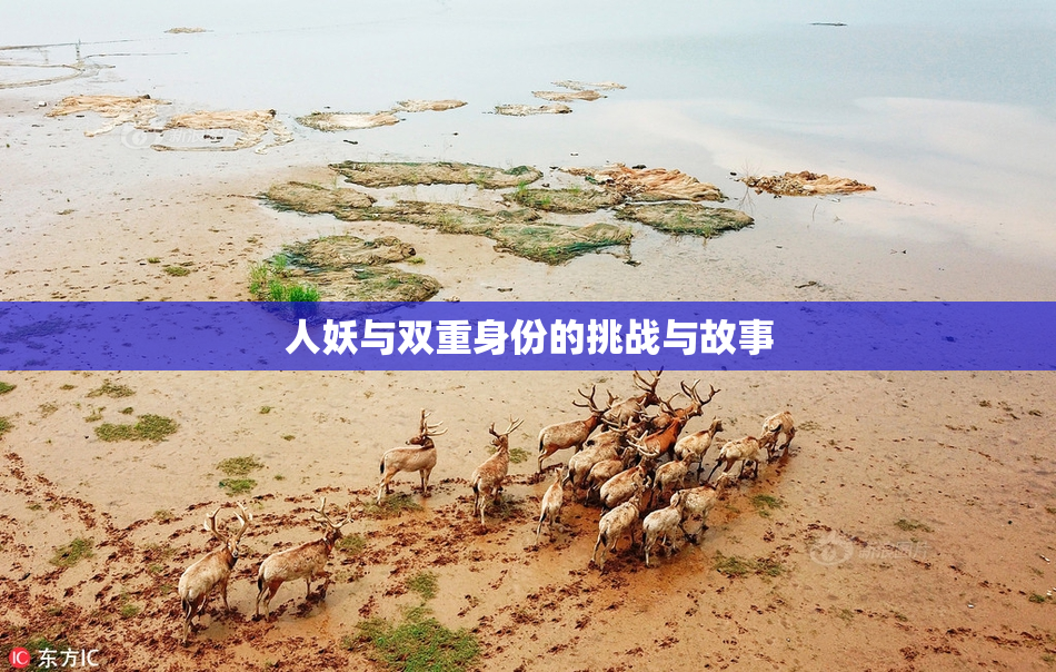 人妖与双重身份的挑战与故事