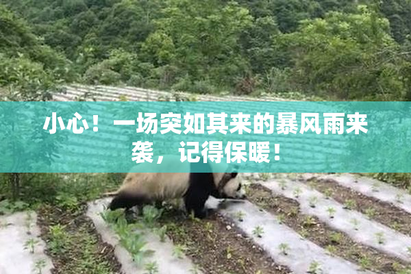 小心！一场突如其来的暴风雨来袭，记得保暖！