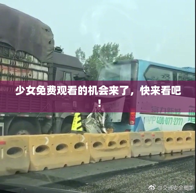 少女免费观看的机会来了，快来看吧！
