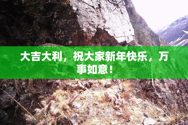 大吉大利，祝大家新年快乐，万事如意！