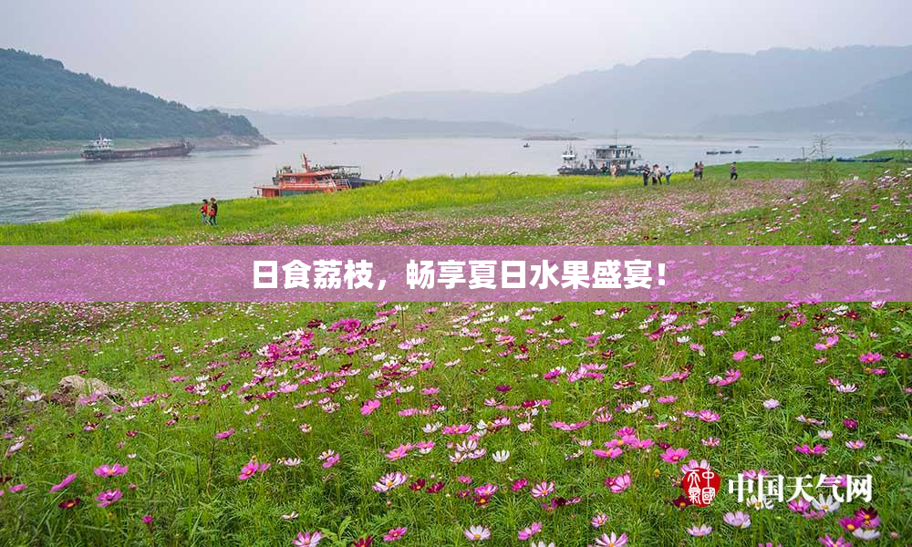 日食荔枝，畅享夏日水果盛宴！