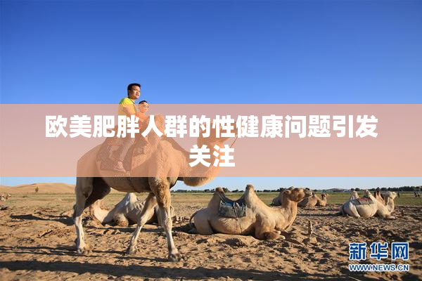 欧美肥胖人群的性健康问题引发关注