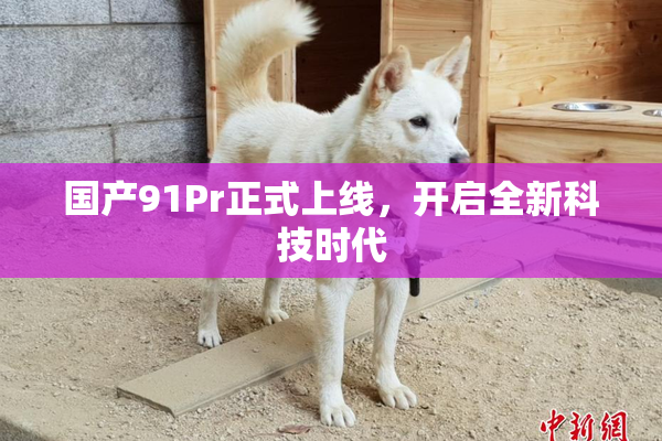 国产91Pr正式上线，开启全新科技时代