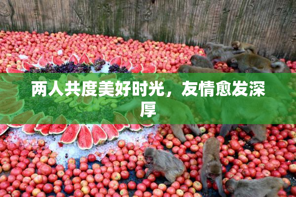 两人共度美好时光，友情愈发深厚