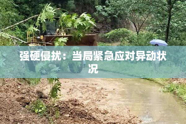 强硬侵扰：当局紧急应对异动状况