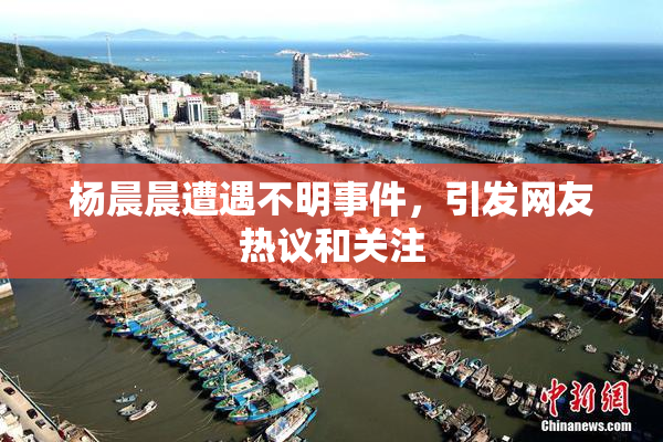 杨晨晨遭遇不明事件，引发网友热议和关注