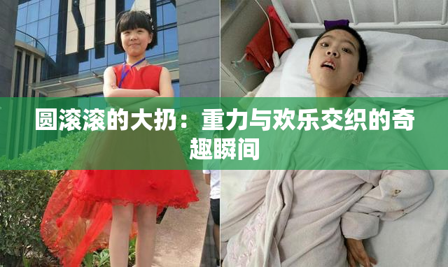 圆滚滚的大扔：重力与欢乐交织的奇趣瞬间