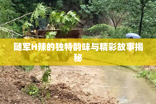 随军H辣的独特韵味与精彩故事揭秘