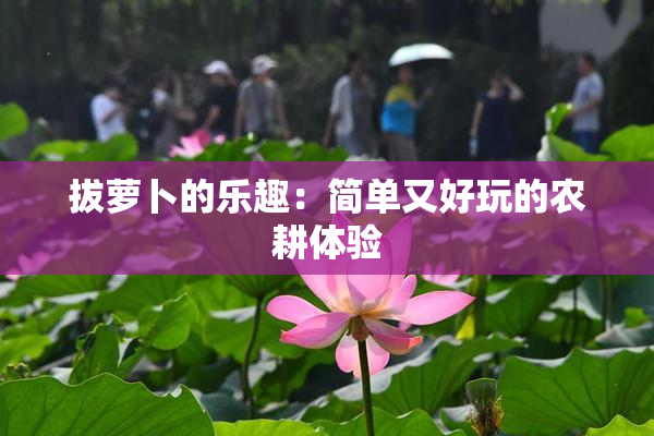 拔萝卜的乐趣：简单又好玩的农耕体验