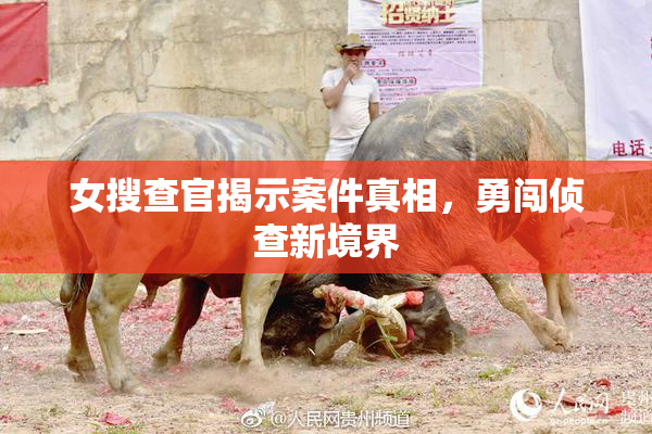 女搜查官揭示案件真相，勇闯侦查新境界