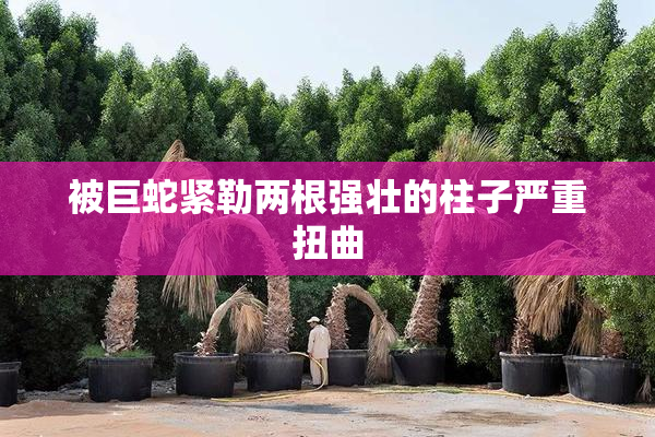 被巨蛇紧勒两根强壮的柱子严重扭曲