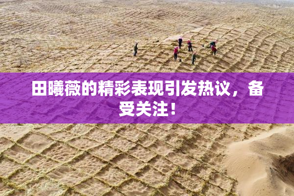 田曦薇的精彩表现引发热议，备受关注！