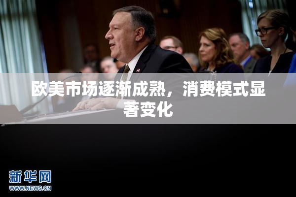 欧美市场逐渐成熟，消费模式显著变化