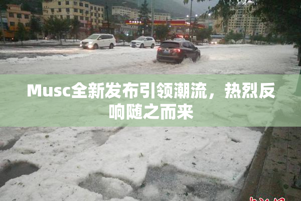 Musc全新发布引领潮流，热烈反响随之而来