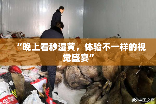 “晚上看秒湿黄，体验不一样的视觉盛宴”