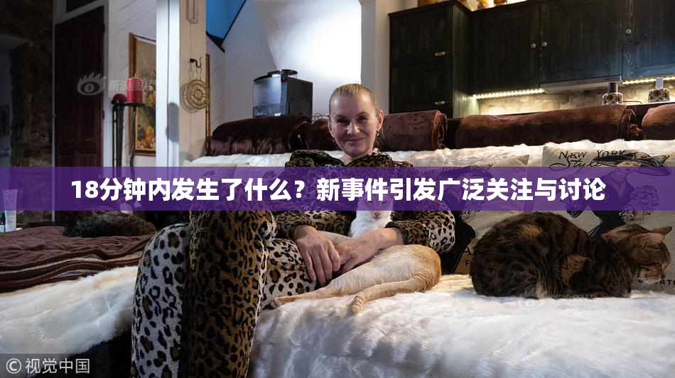 18分钟内发生了什么？新事件引发广泛关注与讨论