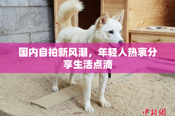 国内自拍新风潮，年轻人热衷分享生活点滴