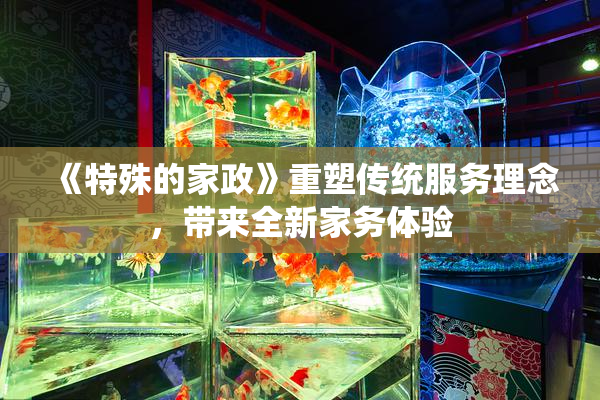 《特殊的家政》重塑传统服务理念，带来全新家务体验