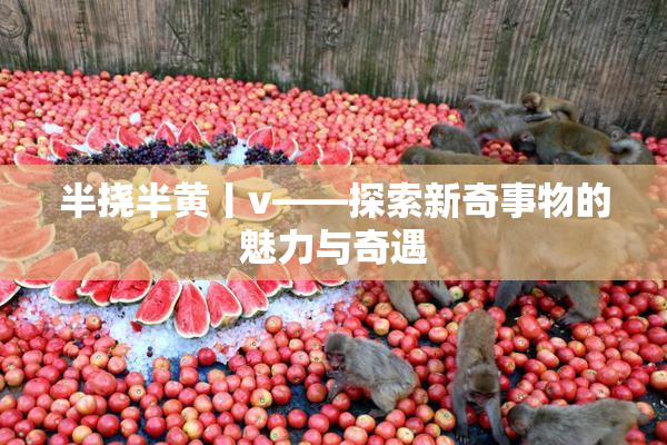 半挠半黄丨v——探索新奇事物的魅力与奇遇