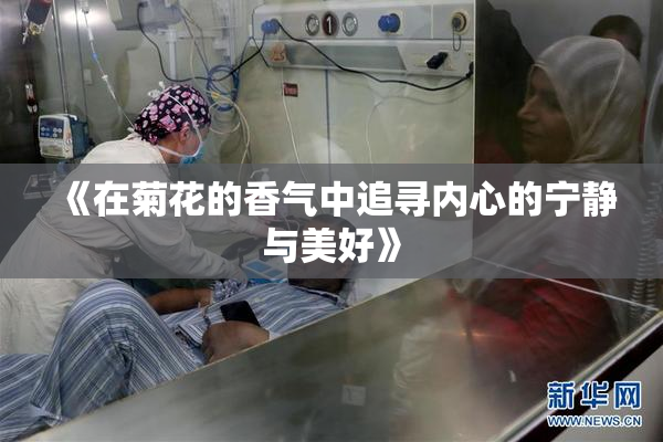 《在菊花的香气中追寻内心的宁静与美好》