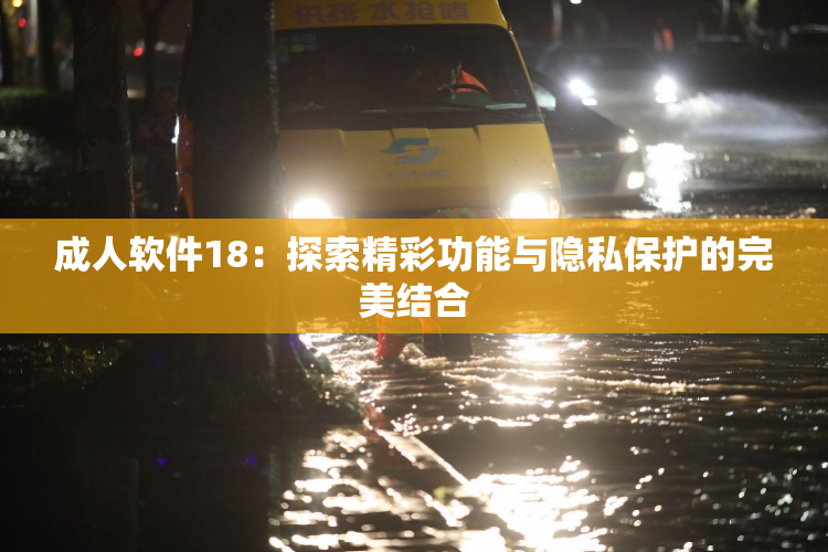成人软件18：探索精彩功能与隐私保护的完美结合