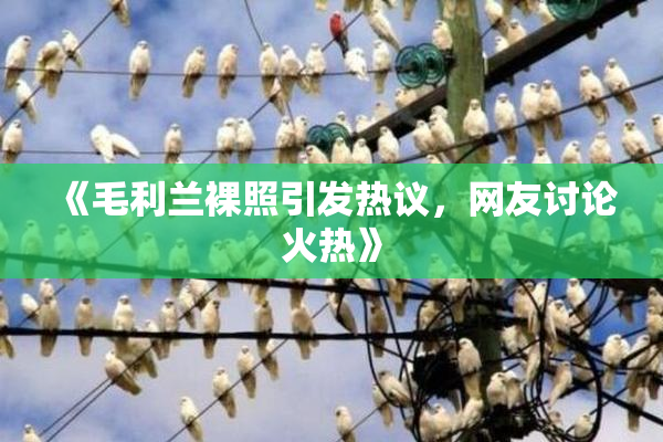 《毛利兰裸照引发热议，网友讨论火热》