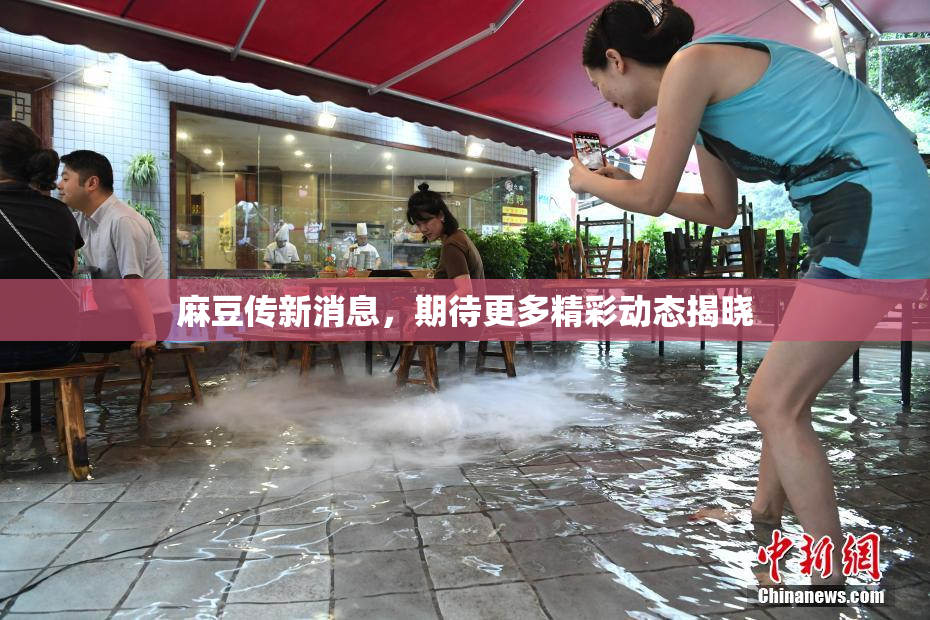 麻豆传新消息，期待更多精彩动态揭晓