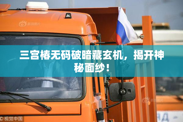 三宫椿无码破暗藏玄机，揭开神秘面纱！