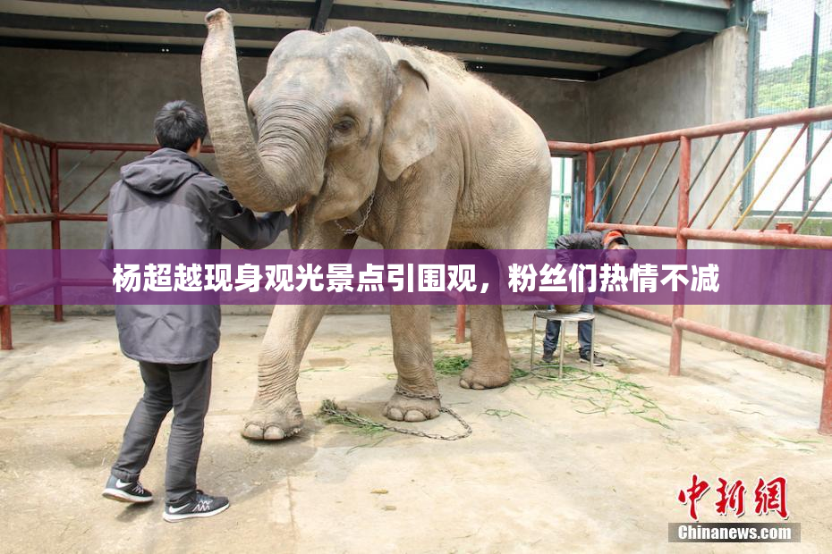 杨超越现身观光景点引围观，粉丝们热情不减