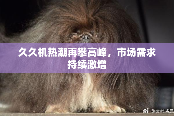久久机热潮再攀高峰，市场需求持续激增