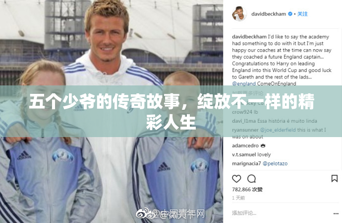 五个少爷的传奇故事，绽放不一样的精彩人生