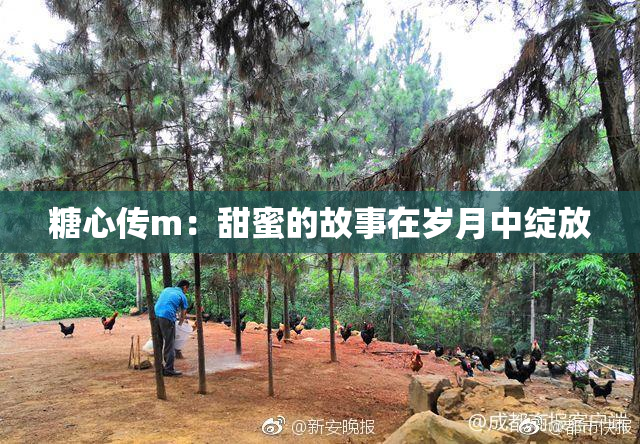 糖心传m：甜蜜的故事在岁月中绽放
