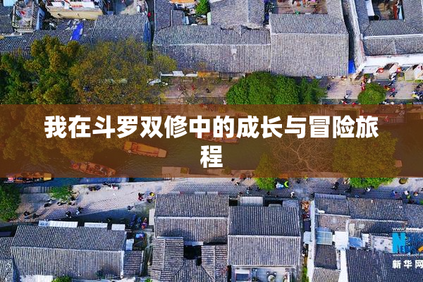我在斗罗双修中的成长与冒险旅程