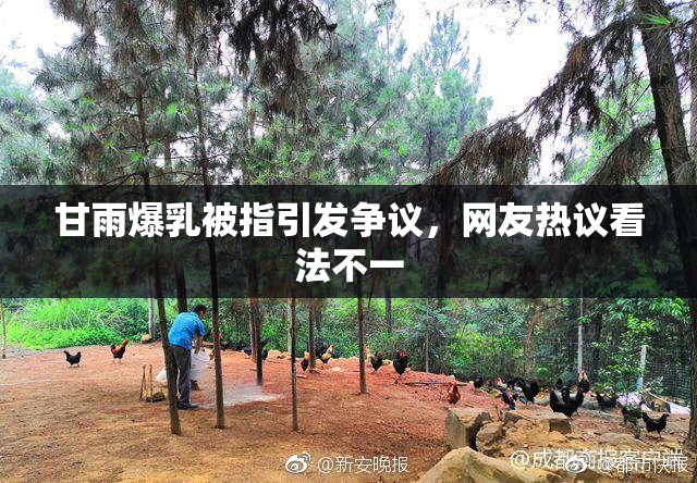 甘雨爆乳被指引发争议，网友热议看法不一