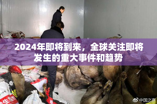 2024年即将到来，全球关注即将发生的重大事件和趋势