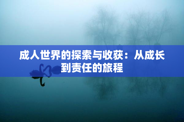 成人世界的探索与收获：从成长到责任的旅程