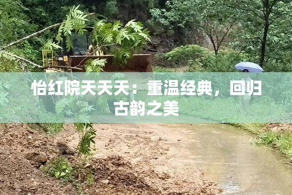 怡红院天天天：重温经典，回归古韵之美