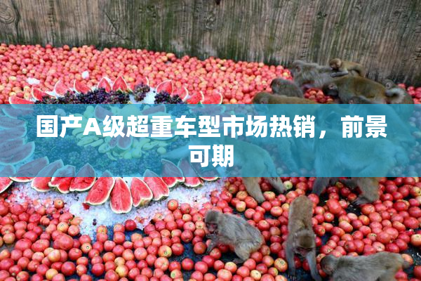 国产A级超重车型市场热销，前景可期